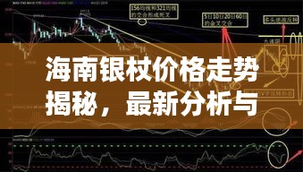 海南银杖价格走势揭秘，最新分析与预测