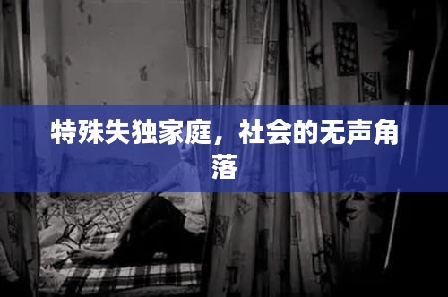 特殊失独家庭，社会的无声角落