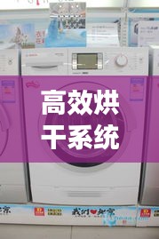 高效烘干系统，革新科技与节能理念的完美融合