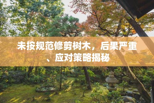 未按规范修剪树木，后果严重、应对策略揭秘