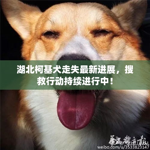 贵戚之卿 第2页