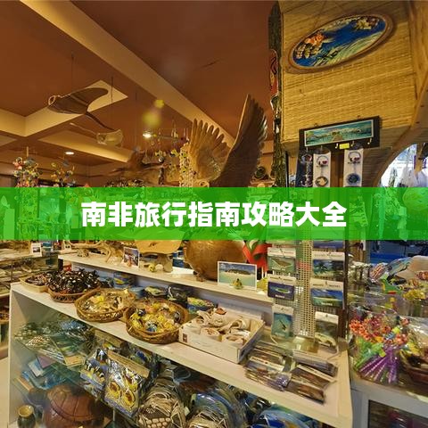 龙飞九五 第2页