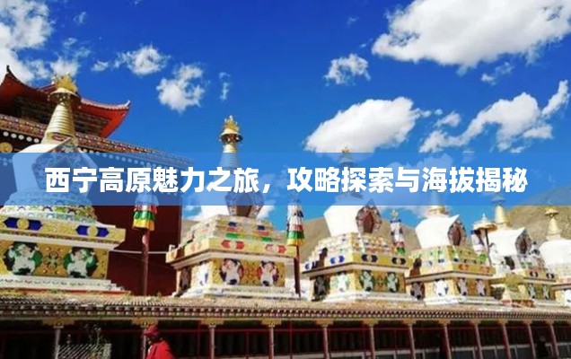 西宁高原魅力之旅，攻略探索与海拔揭秘