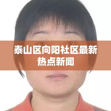 泰山区向阳社区最新热点新闻