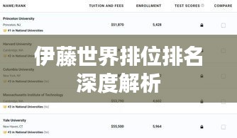 伊藤世界排位排名深度解析