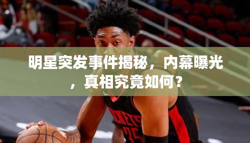 举步如飞 第2页
