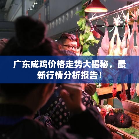 一枝独秀 第2页