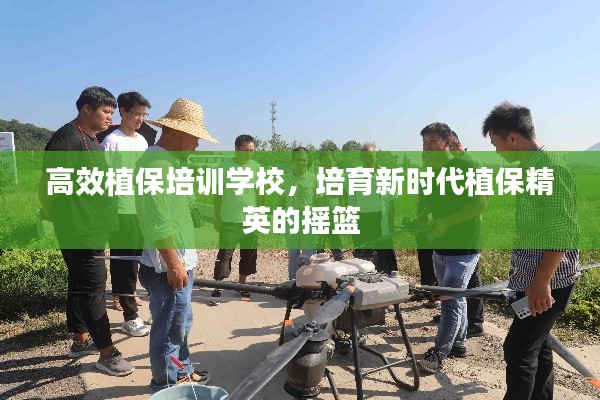 高效植保培训学校，培育新时代植保精英的摇篮
