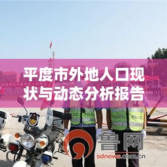 平度市外地人口现状与动态分析报告