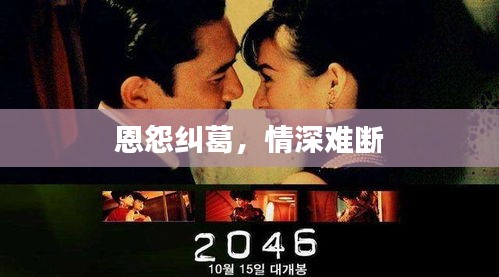 恩怨纠葛，情深难断