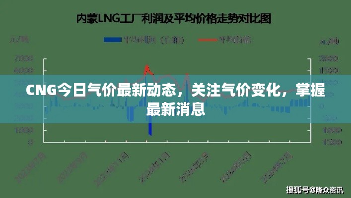 CNG今日气价最新动态，关注气价变化，掌握最新消息