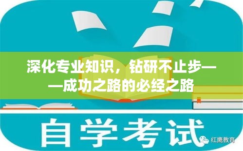 深化专业知识，钻研不止步——成功之路的必经之路