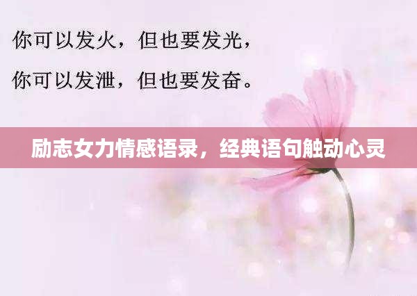 励志女力情感语录，经典语句触动心灵