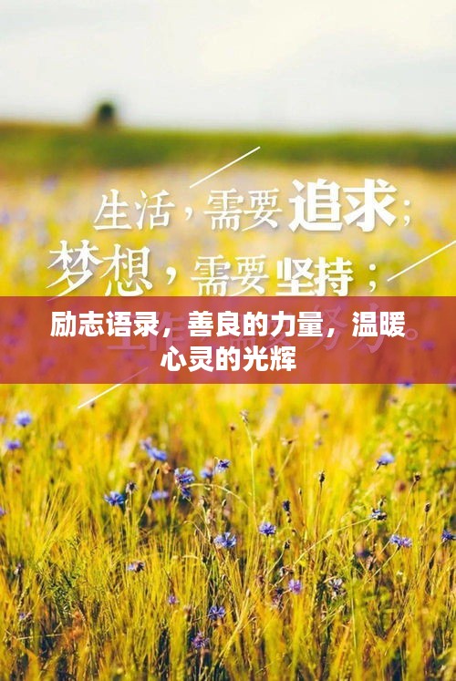 励志语录，善良的力量，温暖心灵的光辉