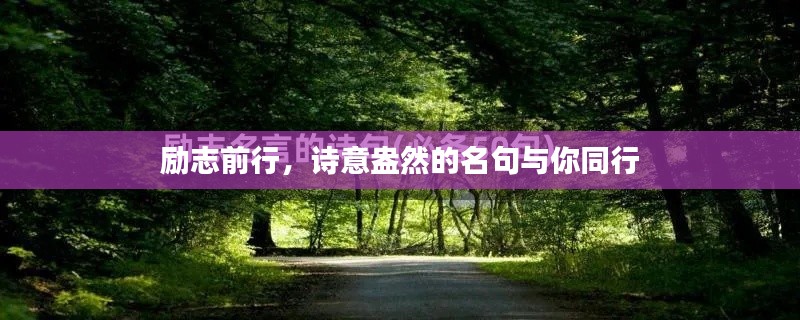 励志前行，诗意盎然的名句与你同行