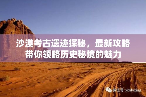 沙漠考古遗迹探秘，最新攻略带你领略历史秘境的魅力