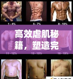 高效虐肌秘籍，塑造完美肌肉群的终极秘诀