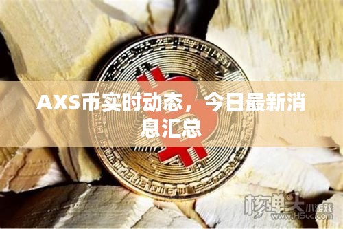 AXS币实时动态，今日最新消息汇总