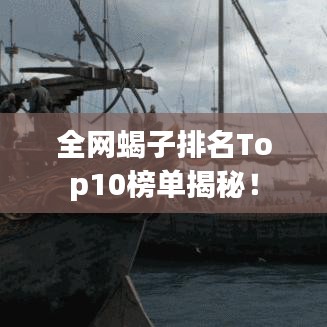 全网蝎子排名Top10榜单揭秘！
