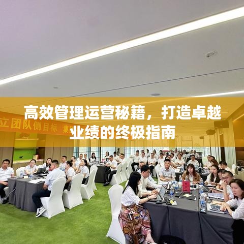 高效管理运营秘籍，打造卓越业绩的终极指南
