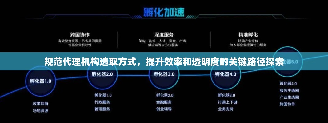 规范代理机构选取方式，提升效率和透明度的关键路径探索