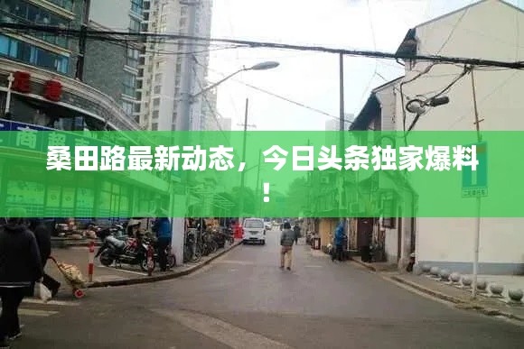 桑田路最新动态，今日头条独家爆料！