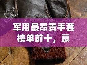 军用最昂贵手套榜单前十，豪华防护装备一览