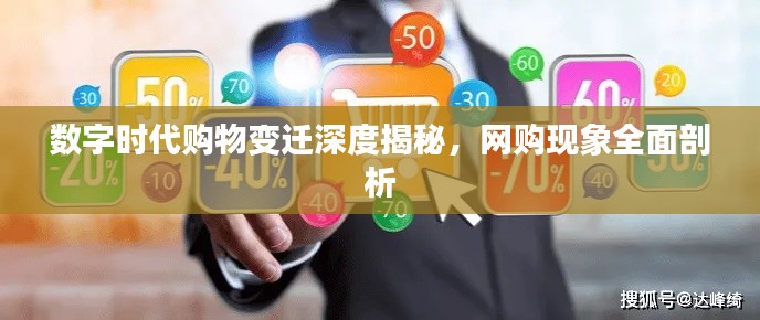 数字时代购物变迁深度揭秘，网购现象全面剖析