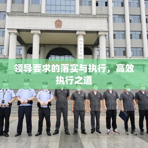 领导要求的落实与执行，高效执行之道