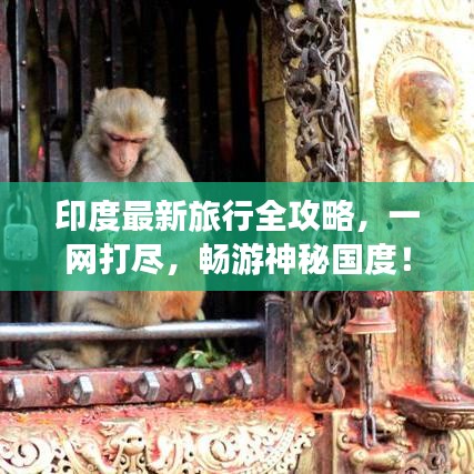 印度最新旅行全攻略，一网打尽，畅游神秘国度！