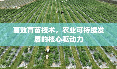 蹑蹻檐簦 第2页