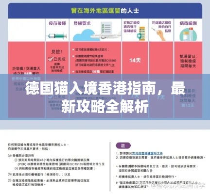 德国猫入境香港指南，最新攻略全解析