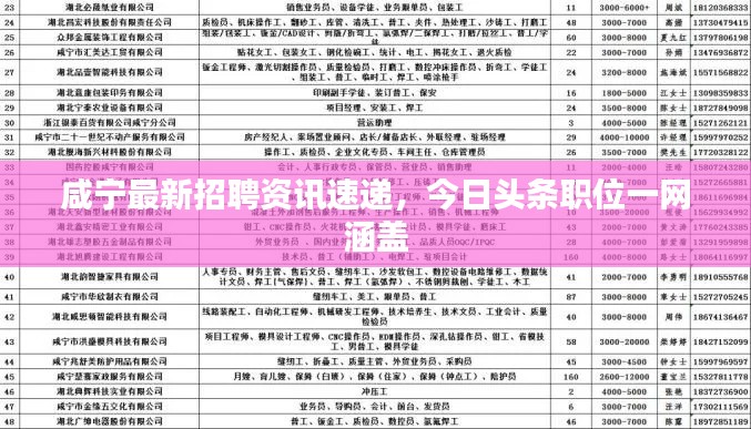咸宁最新招聘资讯速递，今日头条职位一网涵盖