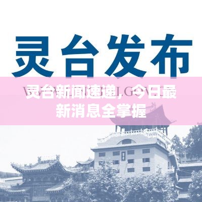灵台新闻速递，今日最新消息全掌握