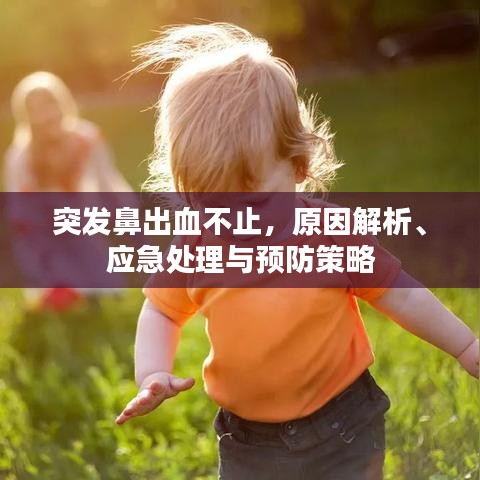 突发鼻出血不止，原因解析、应急处理与预防策略
