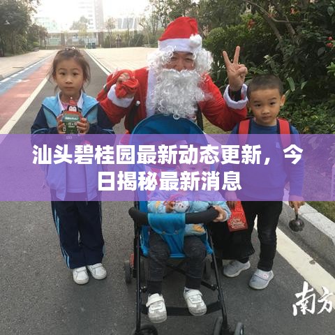 汕头碧桂园最新动态更新，今日揭秘最新消息