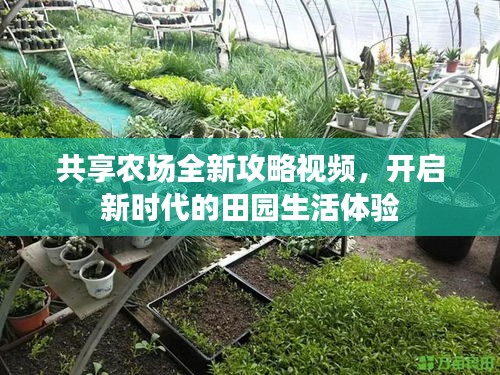 共享农场全新攻略视频，开启新时代的田园生活体验