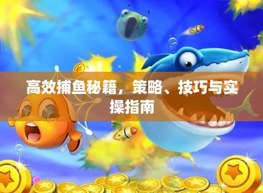高效捕鱼秘籍，策略、技巧与实操指南