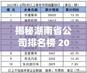 揭秘湖南省公司排名榜 2019年度业绩概览榜单出炉！