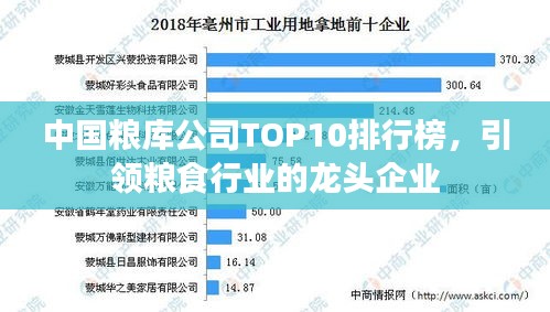 中国粮库公司TOP10排行榜，引领粮食行业的龙头企业