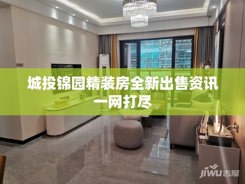 城投锦园精装房全新出售资讯一网打尽