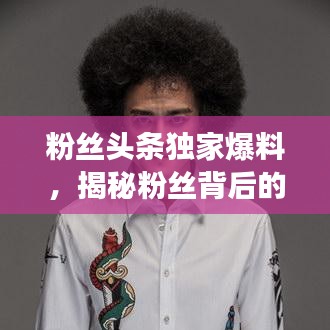 粉丝头条独家爆料，揭秘粉丝背后的故事！