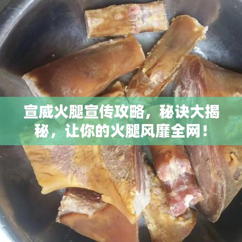 宣威火腿宣传攻略，秘诀大揭秘，让你的火腿风靡全网！