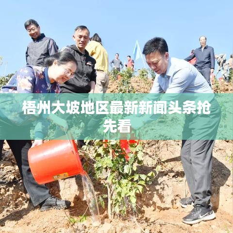 梧州大坡地区最新新闻头条抢先看