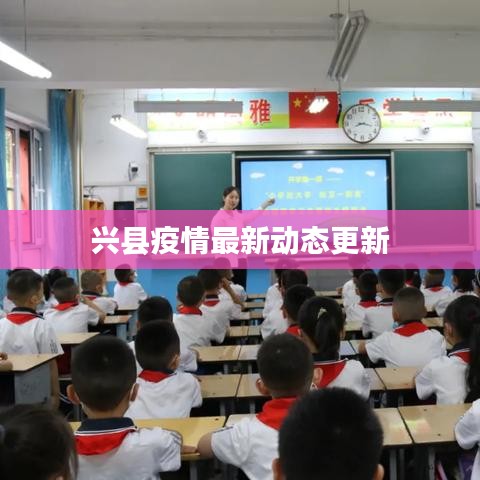 兴县疫情最新动态更新