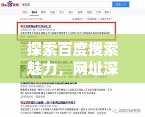 探索百度搜索魅力，网址深度解析，一搜便知