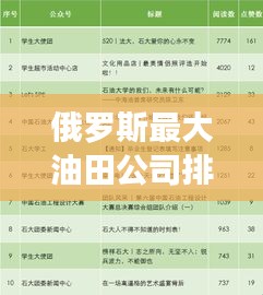 俄罗斯最大油田公司排名揭秘，影响力深度分析