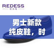 男士新款纯皮鞋，时尚舒适实惠，完美之选！
