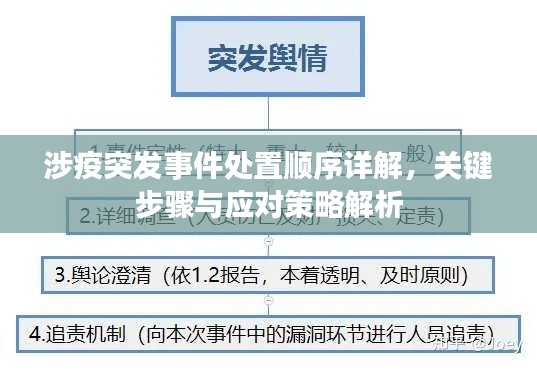 涉疫突发事件处置顺序详解，关键步骤与应对策略解析