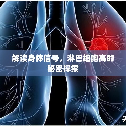 解读身体信号，淋巴细胞高的秘密探索